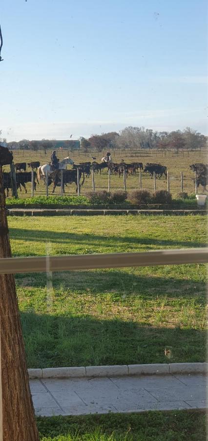 Le Cailar Les Bonbonnettes Bed & Breakfast エクステリア 写真