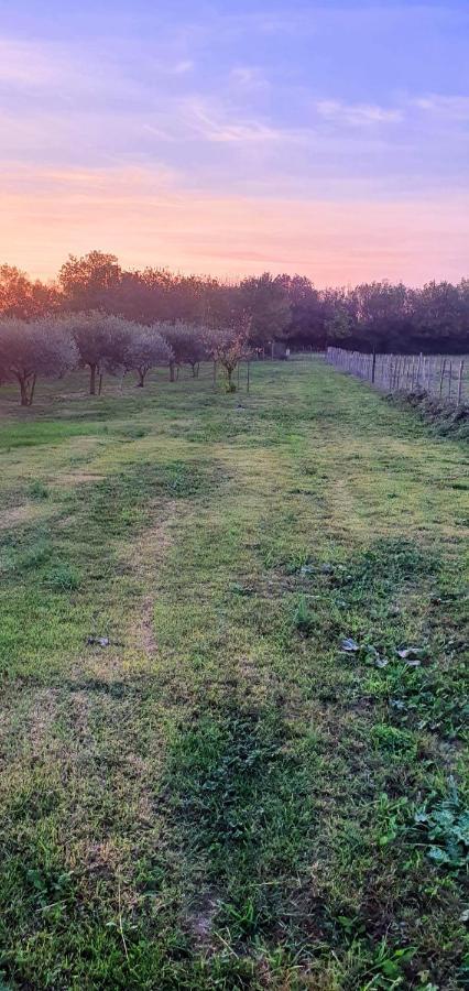 Le Cailar Les Bonbonnettes Bed & Breakfast エクステリア 写真