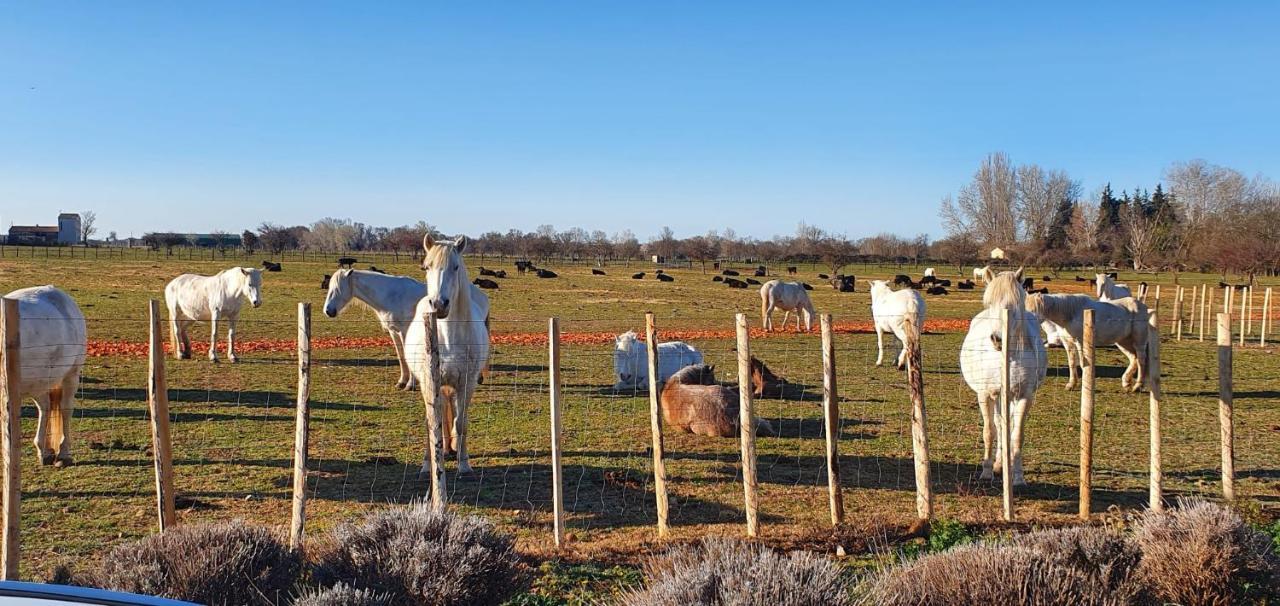 Le Cailar Les Bonbonnettes Bed & Breakfast エクステリア 写真